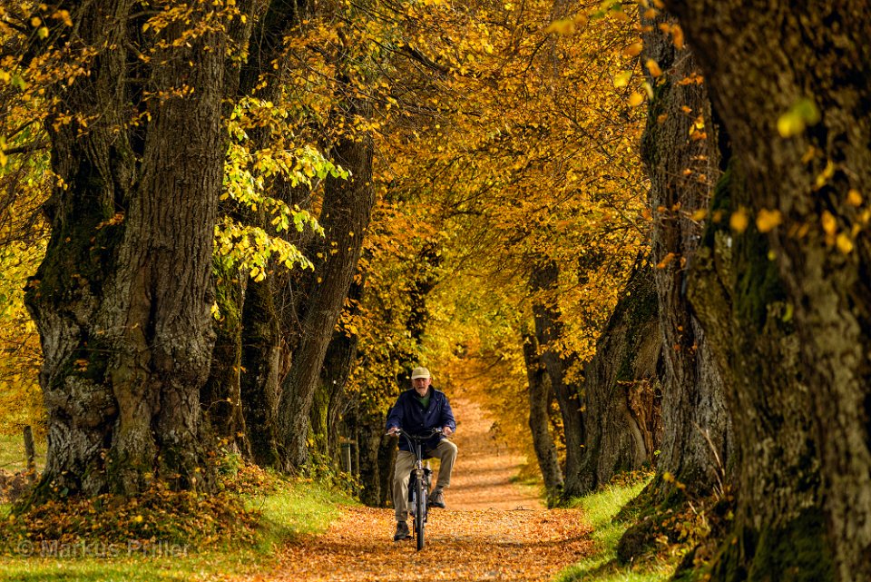 2013.10.26 123407 Herbst Rundfahrt Landsberg 2